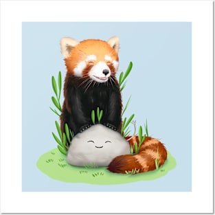 The famous red panda and stone (without background) Posters and Art